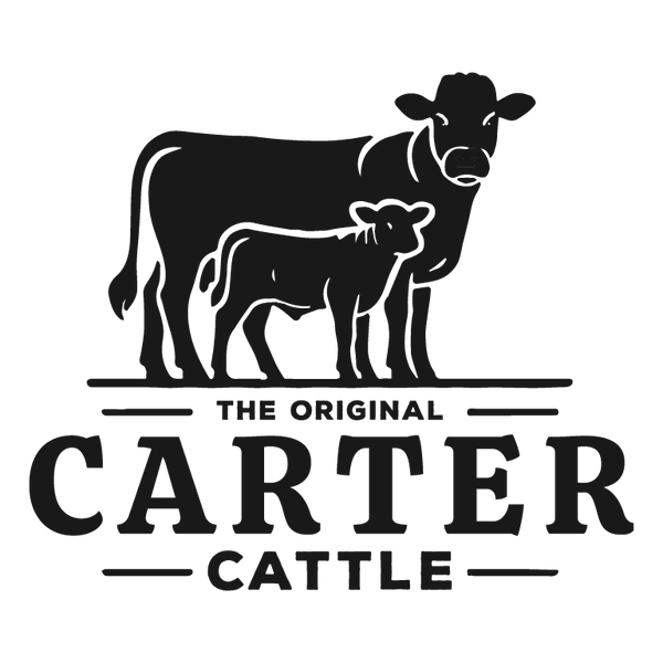 Original Carter Cattle